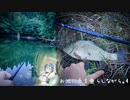 お池に糸を垂らしながら。4