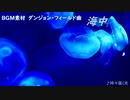 【フリーBGM】時々届く光