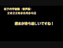紅子の宇宙船 －音声版－ 2022年08月04日