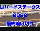 競馬 レパードステークス2022 最終追い切り