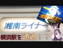 仕事帰りに大回りで湘南ライナーに乗ってみた