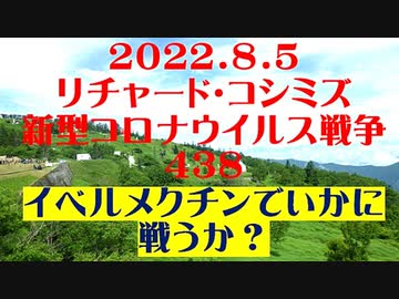 【2022年08月05日：リチャード・コシミズ Internet 講演（ 改良版 ）】