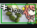 【第三回スパイス祭】多分キュウリ？なピクルス（初見プレイ） 【OpenJTalkキッチン】