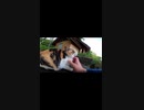 撫でられると何とも言えない顔を見せてくれる#Shorts【野良猫】【感動猫】