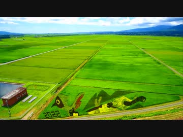 2022-佐渡の田んぼアートを空撮すると夏の香りを感じた件！！