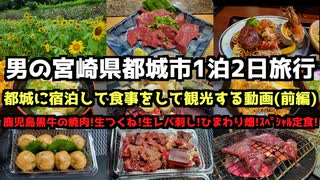 【宮崎グルメ旅行】男の宮崎県都城市1泊2日グルメ旅行(前編)4K　#都城市   #宮崎旅行   #生つくね #坂元棚田