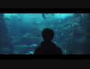 小竹 飛遥 - “Fish“ [Official Video]