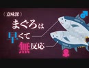 意味深❤️ マグロとマグロの.../// ASMR