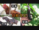 【ぴ】自給自足生活の現状とコメントへの主の気持と返信