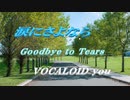 涙にさよならVOCALOID you