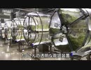 ブロッコリーの発芽野菜　SFチックに工場栽培