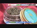 1004人の山村で税収生むキャビア　苦節10年実る・愛知