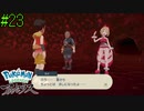 顔が溶けてる…！？　【Pokémon LEGENDS アルセウス】 #23