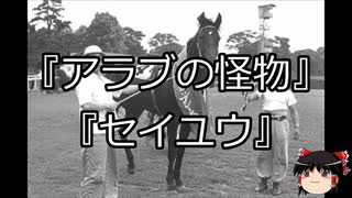 【競馬】ゆっくりさんと未来に語り継ぎたい名馬たち その073【ゆっくり朗読】