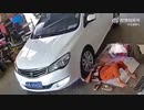 世界の衝撃的映像集Part60