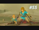 【ゼルダの伝説BotW】実況プレイ-part55-