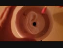 [ASMR]耳介を綿棒でゴシゴシ高速マッサージ/FAST&AGGRESSIVE/바이노럴마이크/brain tingling[no talking]