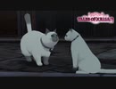 【実況】前作クリアした勢いのままテイルズ オブ エクシリア2に挑む　part30