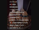 個人的に検証してみたい心霊観光地　地球岬