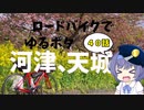 ロードバイクでゆるポタ 第４０話【河津・天城】