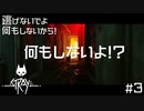 逃げないでよ！何もしないから！！【Stray】#03