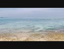 moon beach paradise 2019