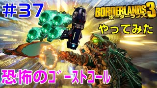 やってみた #37【ボーダーランズ３】ペレグリン・ビルドの（手投げの）ゴーストコールから出るスカルの数をテラーで増量してみました