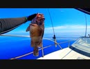 中深海スロージギング