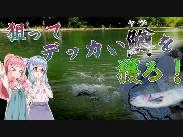 【VOICEROIDフィッシング】琴葉姉妹とエリア De トラウト 夏 【すそのフィッシングパーク】