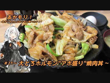 あかもり！#21～大とろホルモン"アホ盛り"焼肉丼～【伝説のすた丼屋】