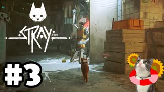 猫好きによる、迷い猫物語 Stray [ Part3 ]