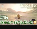 #16 ゼルダの伝説 ブレス オブ ザ ワイルド【双子山に行くんだった】