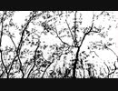 paysages colorés