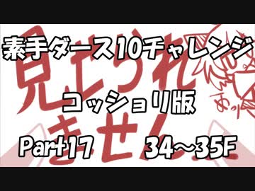【トルネコ3】素手ダース10チャレンジ_Part17（コッショリ版）