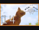 野良猫初心者の『Stray』【実況プレイ／14】