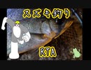 スズキ釣りRTA