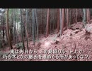 （今日はまったり整地？回ｗ）変態忍者の、有害鳥獣駆除従事活動記・その２０７