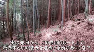 （今日はまったり整地？回ｗ）変態忍者の、有害鳥獣駆除従事活動記・その２０７