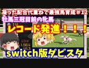 switch版ダビスタ＃12　牡馬三冠目前の牝馬　レコード発進！！