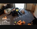 【第35回】まったり犬と収穫とスイカとナス