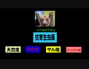 【子供への接種】良く良く良く 考えてください！（YouTubeで消された動画です。）