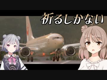 目の前に海面が現れないことを祈るしかないエアライン【MSFS】