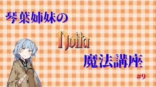 琴葉姉妹のnoita魔法講座 #9  危険なディスク編