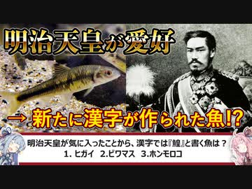 【鰉】明治天皇が愛好 → 新漢字ができた魚!?　琵琶湖の魚3種紹介!【QuizKnock クイズ解説】【VOICEROID琴葉葵・茜】
