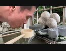 【旅行】和歌山の湧水、カレー、智弁【宿泊】（コメント無）