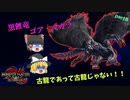 MH4のメインモンスター登場！霊夢見事なフラグ回収を見せる？！　part8