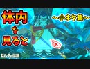 厄災ガノンを床抜けしてスキップすると？一撃のマスソ･ドレファン王の体内を見るなど小ネタ集【ブレワイ BotW】裏技 バグ 検証 ゆっくり実況 glitch