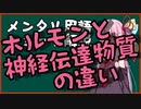 メンタル用語解説：ホルモンと神経伝達物質の違い