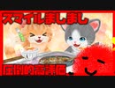 2-1【超癒し系】初見プレイ！ネコトモでほっこりコミュニケーション【Vtuber】【きょんぴーす】