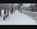 栃木県日光市に平成最後の雪をみにきた - Google Chrome 2019-04-10 15-51-59